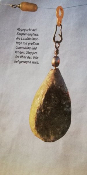 IMG_20250916_165958.jpg IMG_20250916_165958.jpg