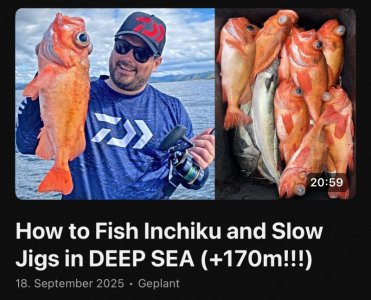 IMG_2535.jpeg IMG_2535.jpeg