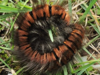 IMG-20250919-WA0000.jpg IMG-20250919-WA0000.jpg