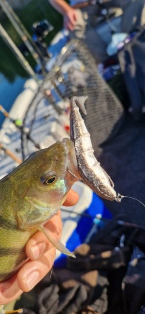 20250919_175343.jpg 20250919_175343.jpg