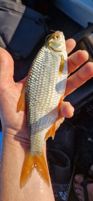 20250919_181333.jpg 20250919_181333.jpg