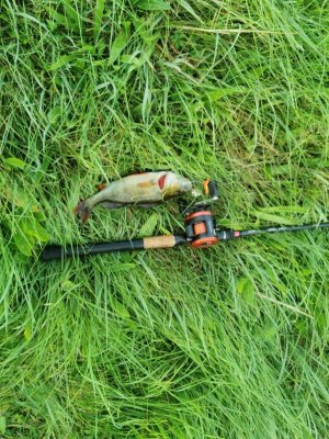 IMG-20250921-WA0000.jpg IMG-20250921-WA0000.jpg