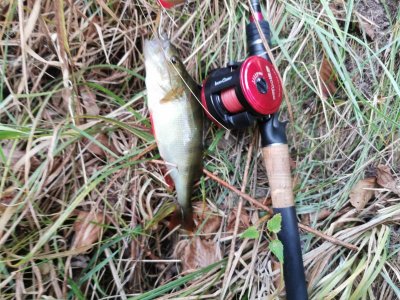 IMG-20250921-WA0007.jpg IMG-20250921-WA0007.jpg