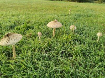 3b3b36955cf6497681517966f8708005.jpg 3b3b36955cf6497681517966f8708005.jpg