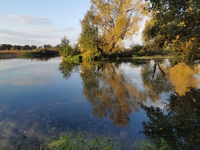 IMG-20250921-WA0004.jpg IMG-20250921-WA0004.jpg