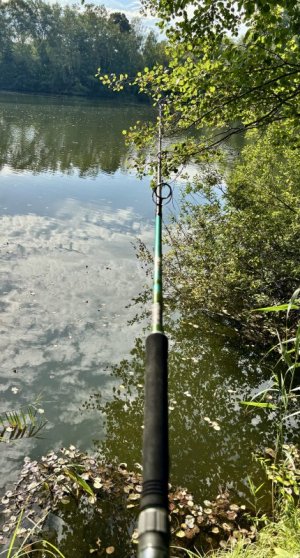 IMG_8431.jpeg IMG_8431.jpeg