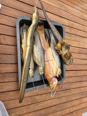 20250921_161455.jpg 20250921_161455.jpg