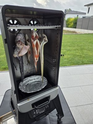 20250921_115515.jpg 20250921_115515.jpg