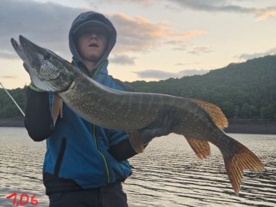 20250914_072615.jpg 20250914_072615.jpg