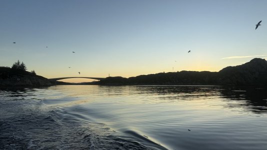 IMG_9738.jpeg