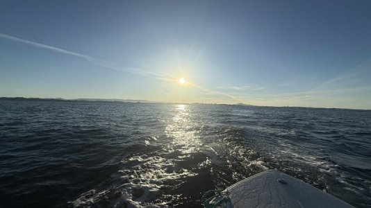IMG_9739.jpeg