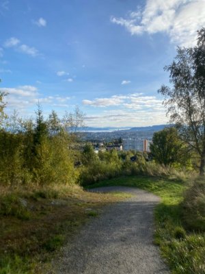 IMG_3725.jpeg