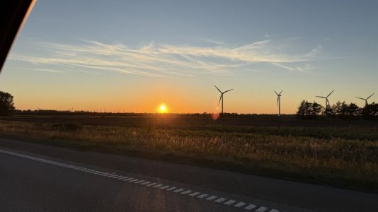 IMG_9806.jpeg