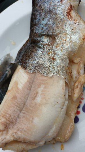 IMG-20250927-WA0008.jpeg