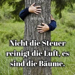 images (16).jpeg