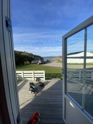 IMG_3780.jpeg