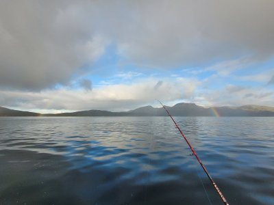 20250919_091112.jpg