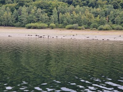 20250926_135359.jpg 20250926_135359.jpg