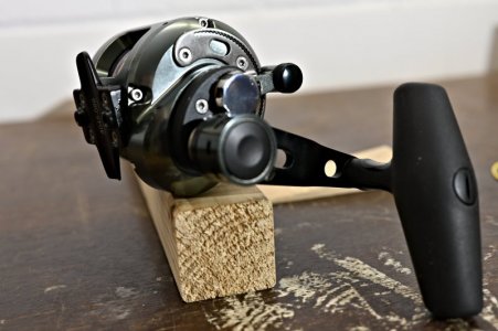 _DSC1926.jpg _DSC1926.jpg