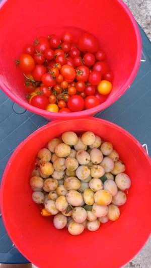 20250907_190226.jpg