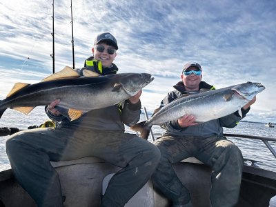 LG u. MG Kö.jpg LG u. MG Kö.jpg