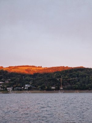 20251003_074204.jpg