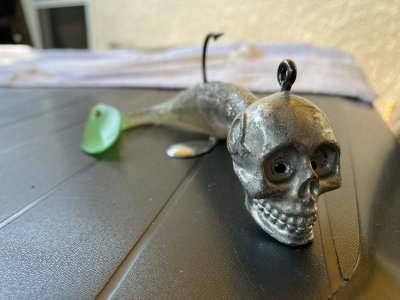 IMG_3736.jpeg