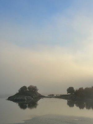IMG_9335.jpeg