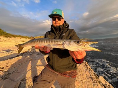 WhatsApp Image 2025-10-05 at 20.32.41.jpeg WhatsApp Image 2025-10-05 at 20.32.41.jpeg