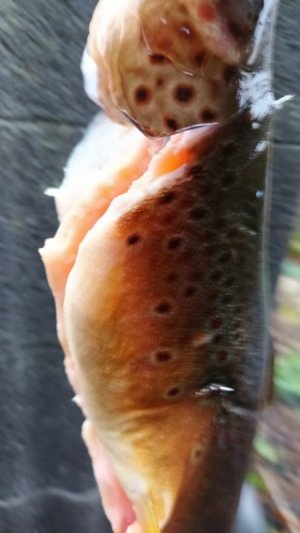20251011_104723.jpg
