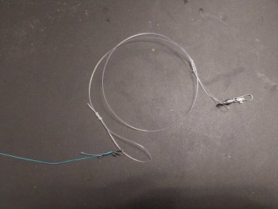 1000027173.jpg 1000027173.jpg