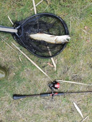 IMG-20251012-WA0005.jpg IMG-20251012-WA0005.jpg