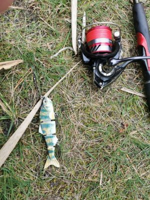 IMG-20251012-WA0004.jpg IMG-20251012-WA0004.jpg