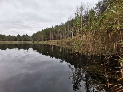 IMG-20251012-WA0001.jpg IMG-20251012-WA0001.jpg