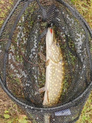 IMG-20251012-WA0003.jpg IMG-20251012-WA0003.jpg