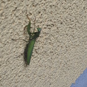 20251012_105501.jpg 20251012_105501.jpg