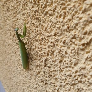 20251012_105631.jpg 20251012_105631.jpg