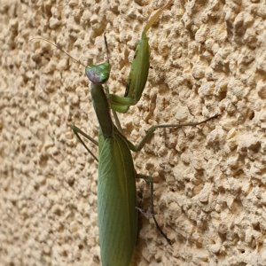 20251012_105640.jpg 20251012_105640.jpg