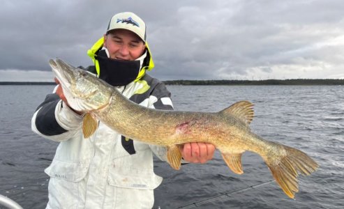 IMG-20251012-WA0013.jpg IMG-20251012-WA0013.jpg