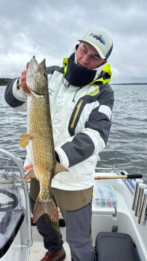 IMG-20251012-WA0006.jpg IMG-20251012-WA0006.jpg