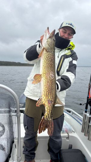 IMG-20251012-WA0004.jpg IMG-20251012-WA0004.jpg