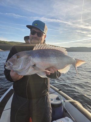 235c9524-cae7-4958-9f5a-47766a77a989.JPG 235c9524-cae7-4958-9f5a-47766a77a989.JPG