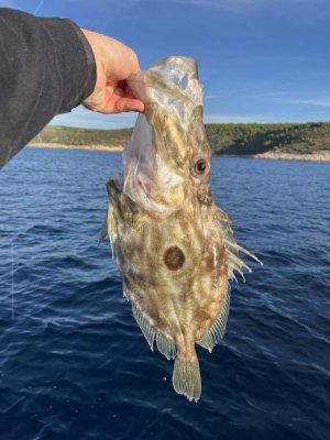 IMG_3020.jpg IMG_3020.jpg