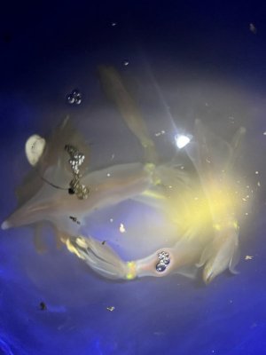 IMG_2986.jpg IMG_2986.jpg