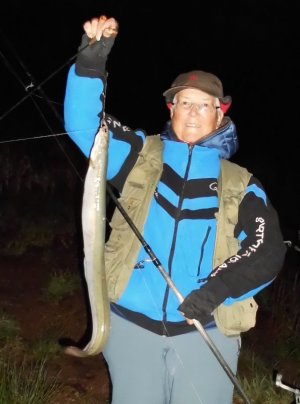 DSCI4123.JPG DSCI4123.JPG