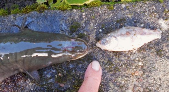 DSCI4134.JPG DSCI4134.JPG