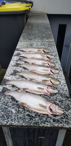 20251015_100937.jpg 20251015_100937.jpg