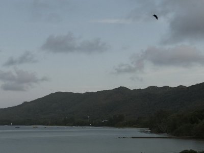 IMG_6049.jpeg