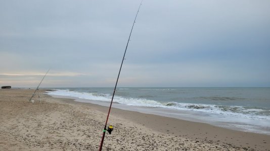 20251020_130746.jpg 20251020_130746.jpg