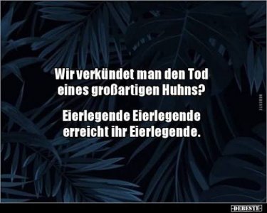 images (18).jpeg